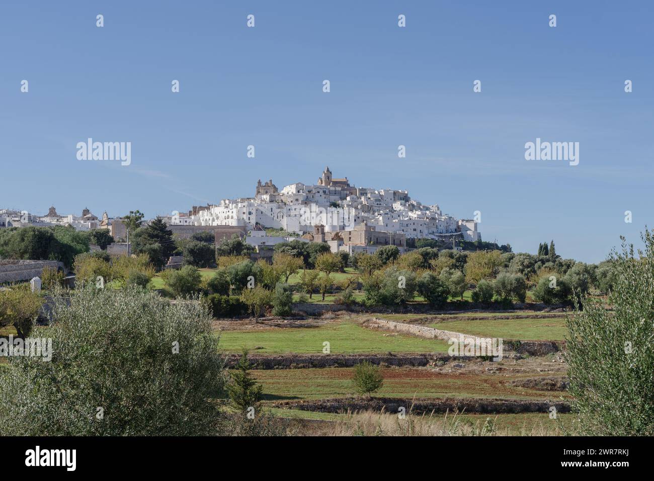 Ostuni, la "città Bianca", Puglia, Italia meridionale Foto Stock