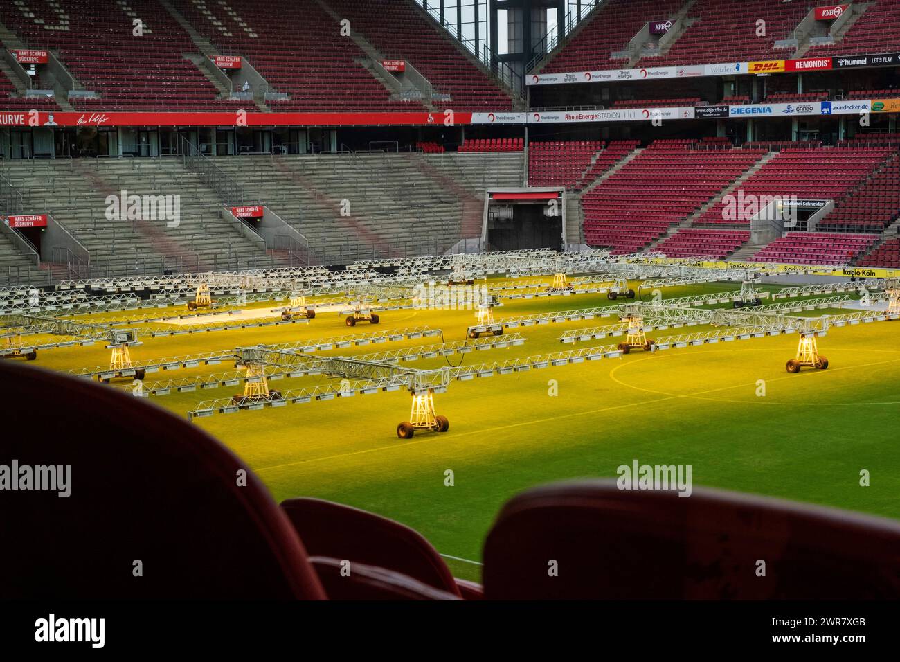 Il RheinEnergie Stadium è uno degli stadi per i campionati europei di calcio 2024. Il campo dello stadio è mantenuto con luci artificiali Foto Stock
