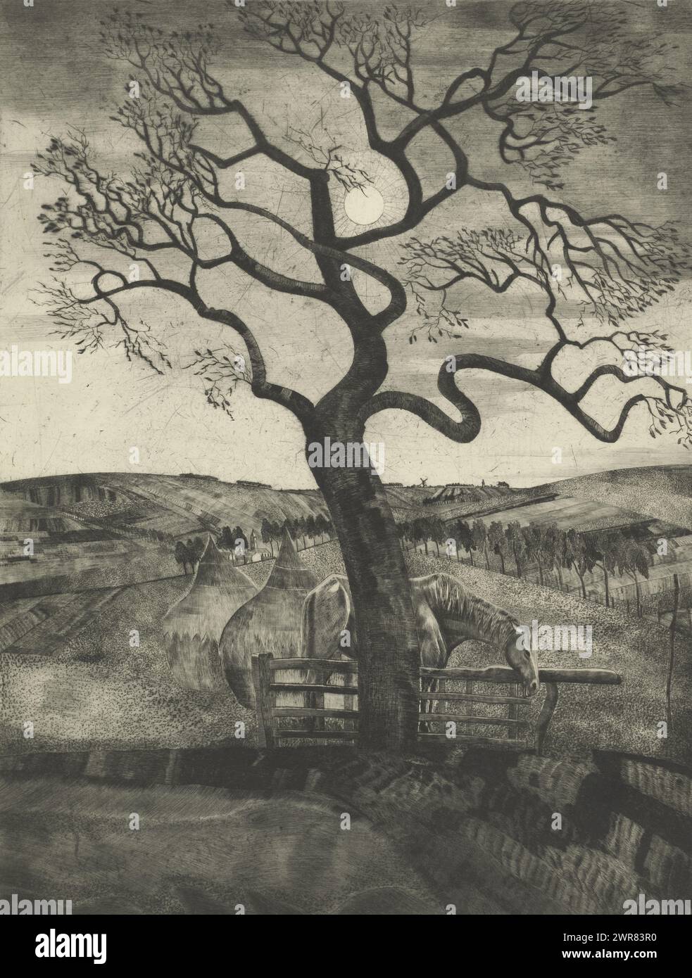 Cavallo in un prato vicino Etikhove, Vieux cheval en repos (titolo originale), il paesaggio collinare vicino alla città di Etikhove nella provincia belga delle Fiandre orientali. In primo piano un prato con un cavallo e due fienili. Sullo sfondo due insediamenti, entrambi con una chiesa e uno con un mulino. Il sole nel cielo., stampatore: Lodewijk Schelfhout, (firmato dall'artista), stampatore: Roeloffzen & Hübner, 1926, carta, punto di essiccazione, altezza 645 mm x larghezza 495 mm, stampa Foto Stock