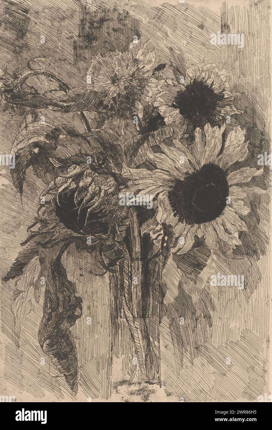 Girasoli in vaso, tipografia: Barbara Elisabeth van Houten, (firmata dall'artista), 1872 - 1950, carta, incisione, altezza 515 mm x larghezza 347 mm, stampa Foto Stock