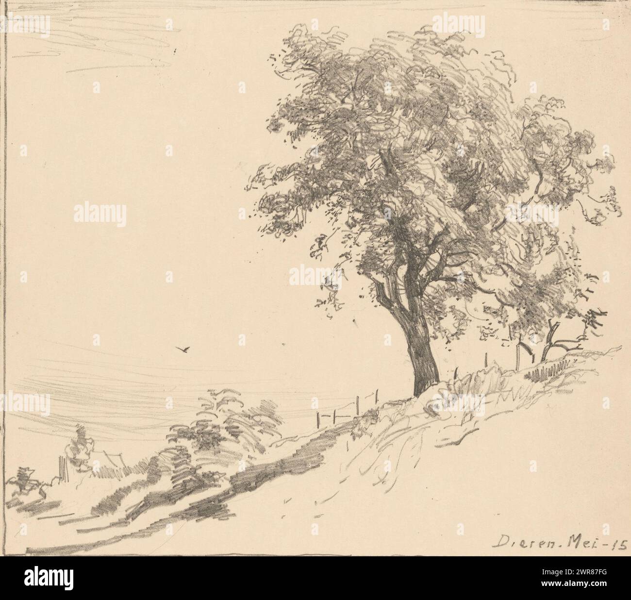 Paesaggio con un albero su una diga a Dieren, albero su diga (titolo originale), stampatore: Willem Bastiaan Tholen, (firmato dall'artista), c. 1905 - c. 1920, carta, altezza 395 mm x larghezza 323 mm, stampa Foto Stock