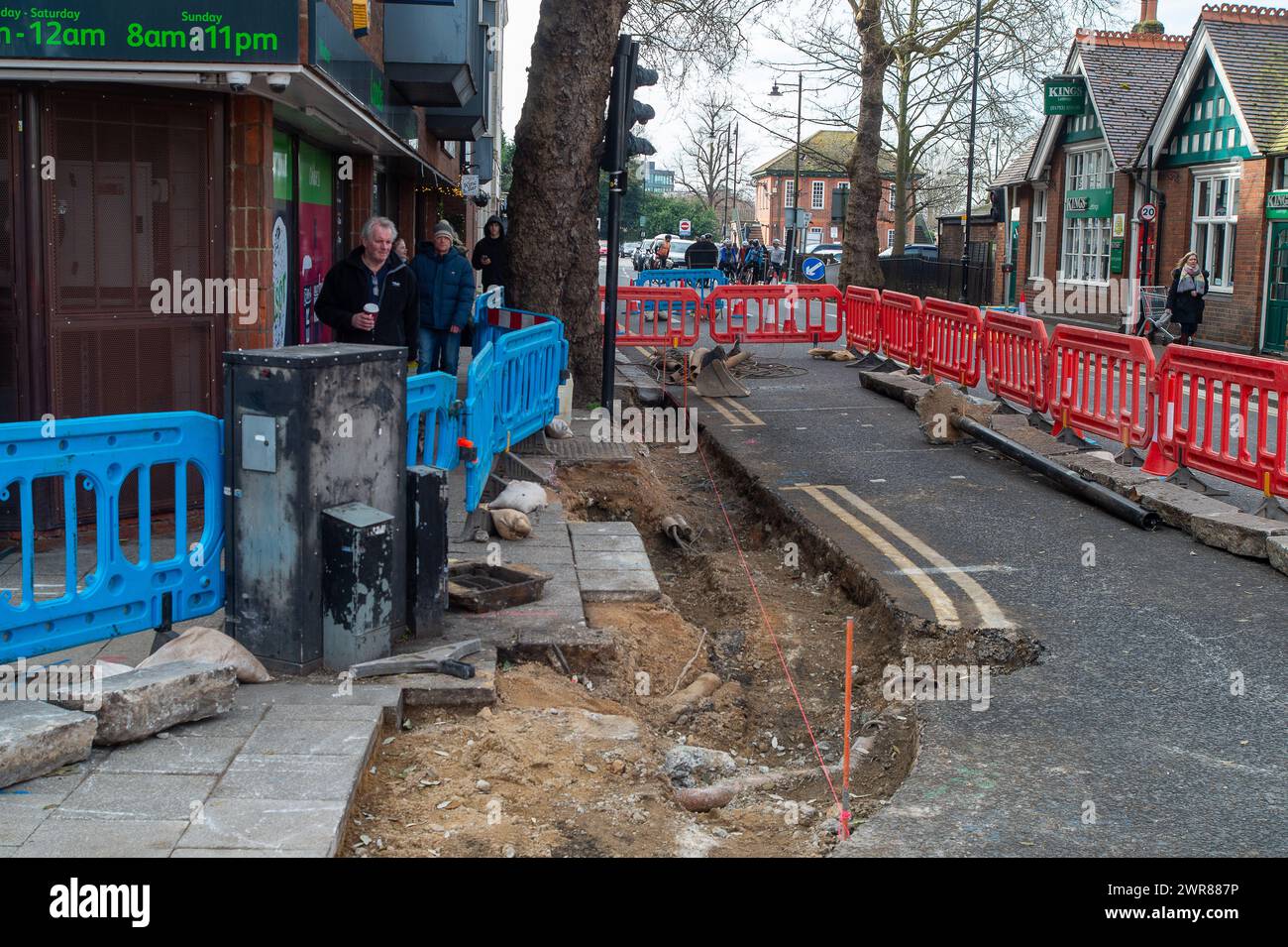 Windsor, Berkshire, Regno Unito. 9 marzo 2024. Gli appaltatori di autostrade, forse Volker Highways, hanno scavato le radici di un vecchio albero di London Plane a Windsor, Berkshire, che potrebbe portare alla morte del grande vecchio albero. Non è stato rilasciato alcun permesso intorno ai lavori stradali. Crediti: Maureen McLean/Alamy Foto Stock