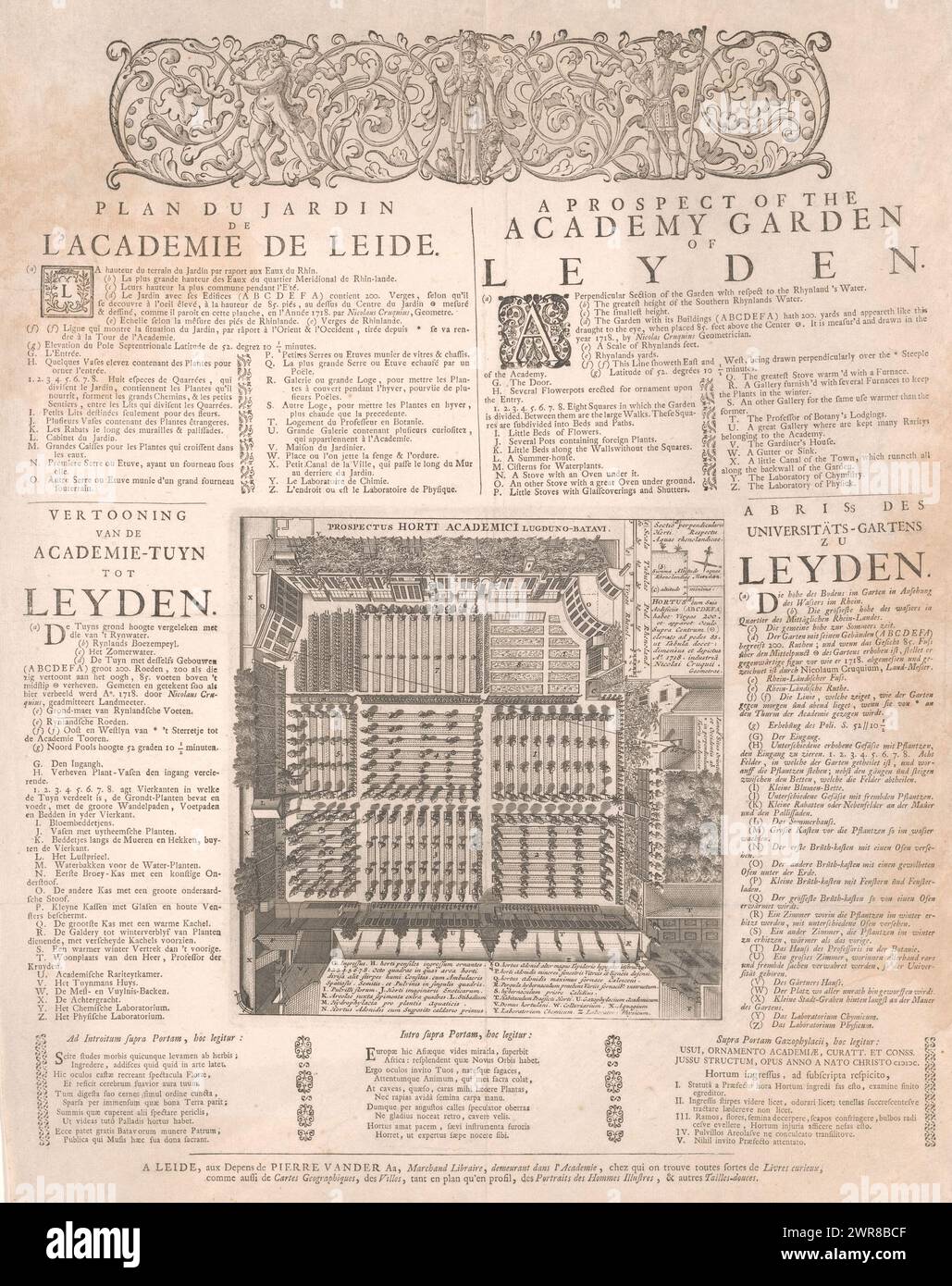 Università Hortus Botanicus van Leiden, Plan du jardin de l'academie de Leide / prospettiva del giardino dell'accademia di Leida / Mostra dell'academi-etuyn tot Leyden / Abris des Universitäts-gartens zu Leyden / Prospetto horti Academici Lugduo-Batavi ( titolo sull'oggetto), vista dell'Hortus Botanicus dell'Università di Leida su progetto di Nicolaas Crucquius del 1718. Intorno a una leggenda descrittiva in francese, inglese, olandese e tedesco. In cima Ercole, Minerva e un soldato in un ornamento di tendini., stampatore: Anonimo, editore: Pieter van der AA (i), Leida Foto Stock