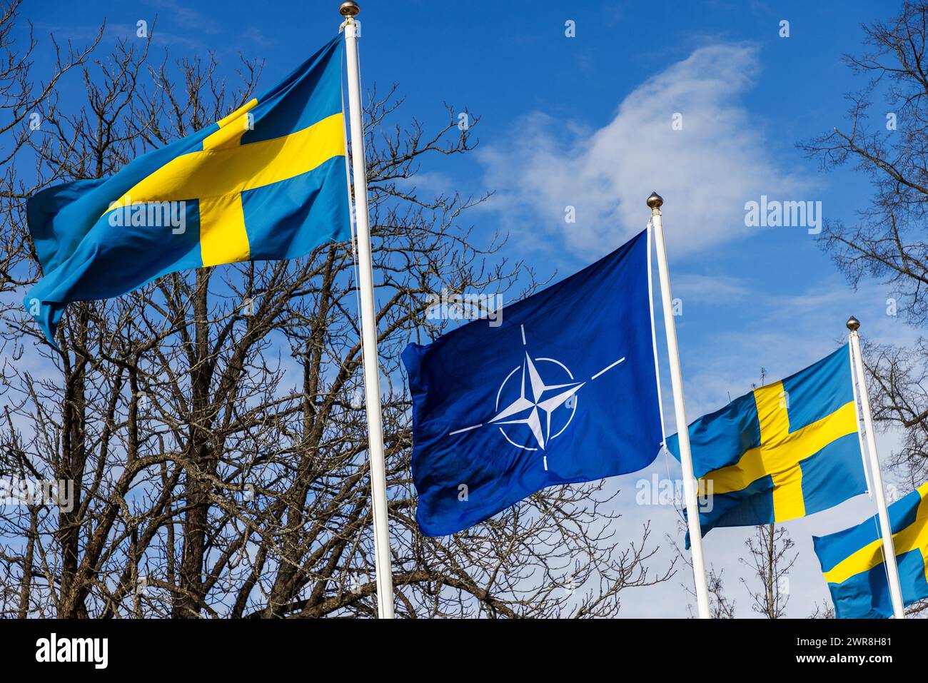 Dopo la ratifica in tutti i parlamenti dei paesi membri, la Svezia è ora uno dei 32 membri dell'alleanza militare NATO. Lunedì si è tenuta una cerimonia presso la base aerea di Malmen, "Linköpings garnison”, per segnare l'ingresso della Svezia nella NATO. Per la prima volta dal 1814, la Svezia fa parte di un'alleanza militare. Foto Stock