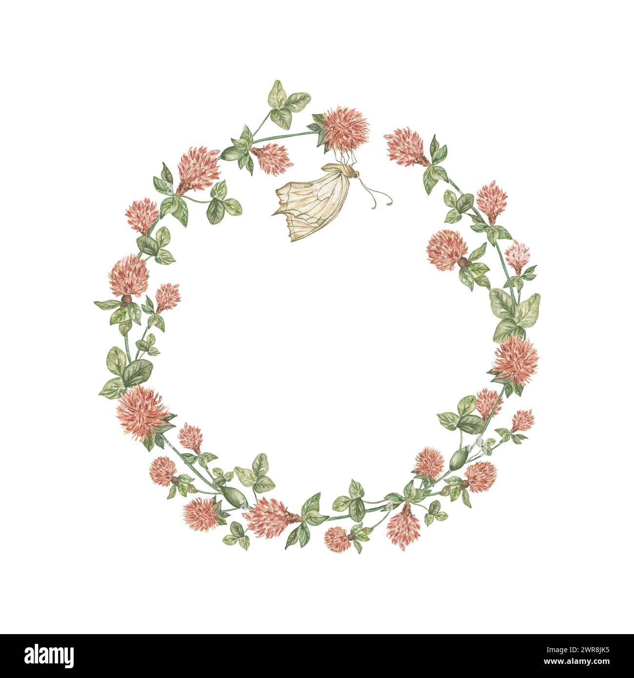 Una corona rotonda di fiori selvatici di trifoglio e foglie, e una farfalla. Modello per testo, biglietto d'auguri, invito al matrimonio Foto Stock