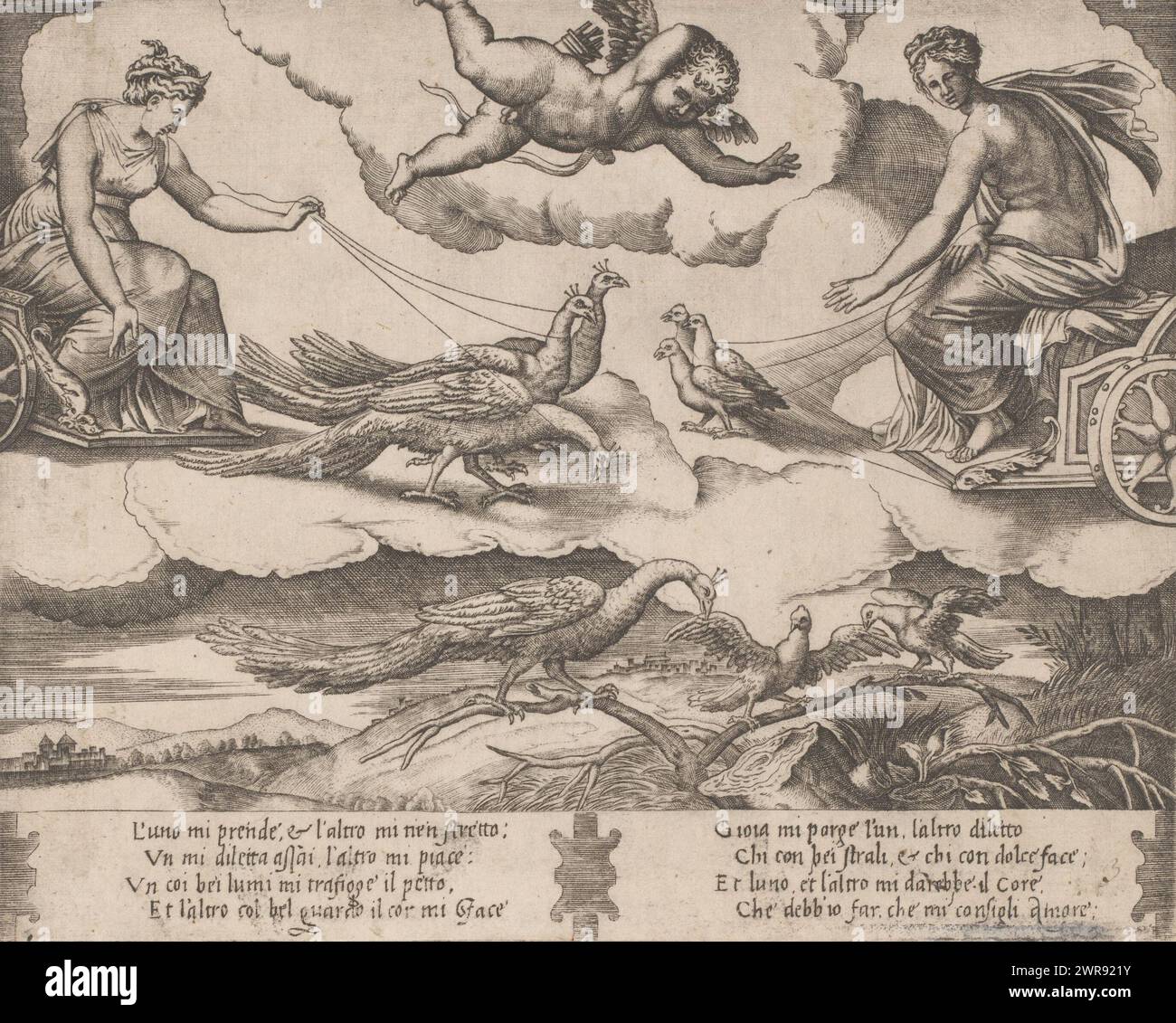 Allegoria del matrimonio e dell'amore, allegoria del matrimonio e dell'amore con Giunone e Venere. A sinistra, Juno siede su un carro trainato da tre pavoni. A destra, il carro di Venere viene tirato da tre colombe. Amor vola tra di loro con la sua faretra sulla schiena. Sotto gli dei si trova un paesaggio con un pavone, una colomba e un altro uccello seduti su un ramo in primo piano. Testo italiano in due colonne a margine inferiore., stampatore: Meester van de Dobbelsteen, su disegno di: Rafaël, Italia, c. 1530 - c. 1560, carta, incisione, altezza 177 mm x larghezza 223 mm Foto Stock