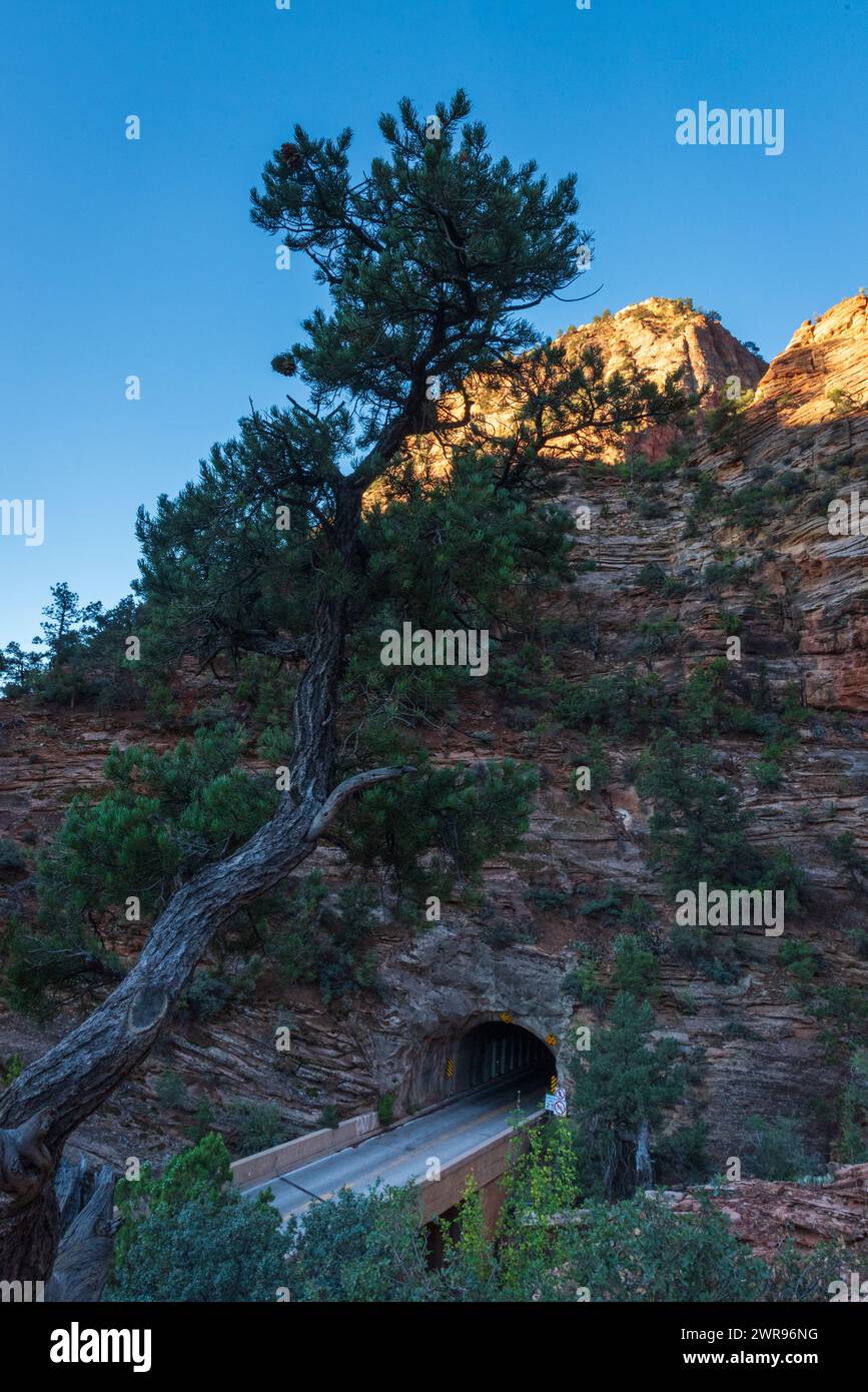 Foto mattutina dell'ingresso est del tunnel del Carmelo di Zion-Mount, dello Zion National Park, Utah, Stati Uniti. Foto Stock