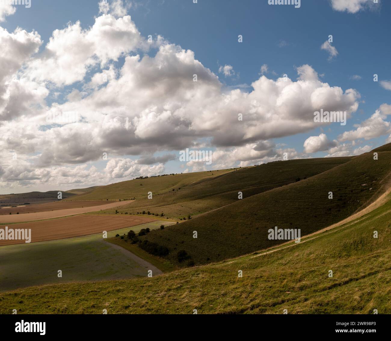 Pewsey Downs in un giorno di sole estati Foto Stock