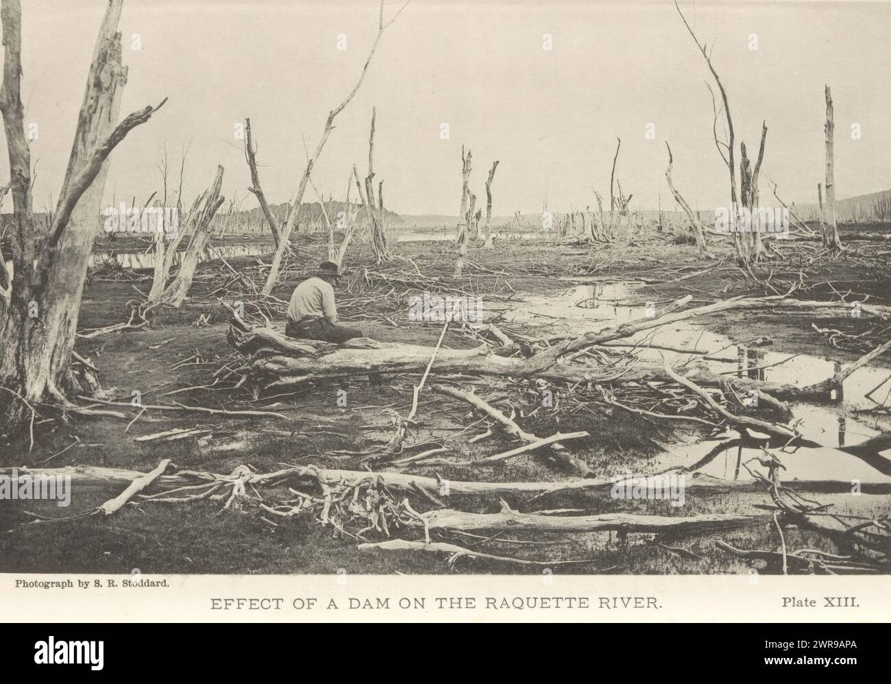 Effetto di una diga sulla Raquette, Seneca Ray Stoddard, anonimo, New York, 1891, carta, collotipo, altezza 113 mm x larghezza 177 mm, stampa fotomeccanica Foto Stock