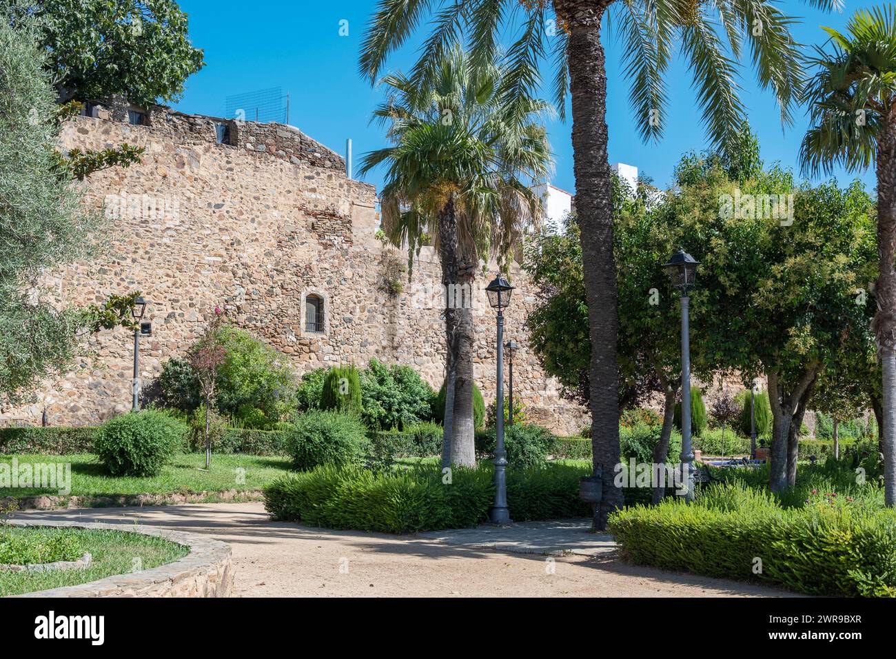 Una panchina accanto a palme e cespugli di fronte a un muro intempestivo Foto Stock