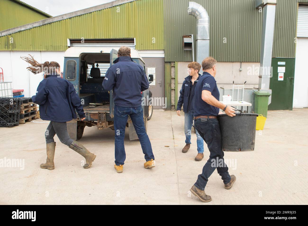 19/09/21 Land Rover Defender scaricato in fabbrica. Timer: 04:39 Un contadino e la sua famiglia scavano in profondità per cercare di distruggere il loro obiettivo di tirare le patate Foto Stock