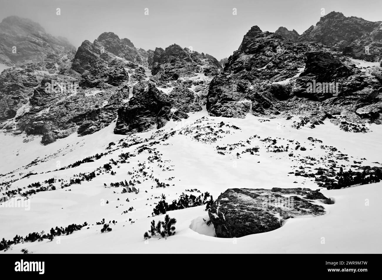 Montagne, rocce e neve in bianco e nero vicino a Velické pleso in Velická dolina, sopra Tatranská Polianka Foto Stock