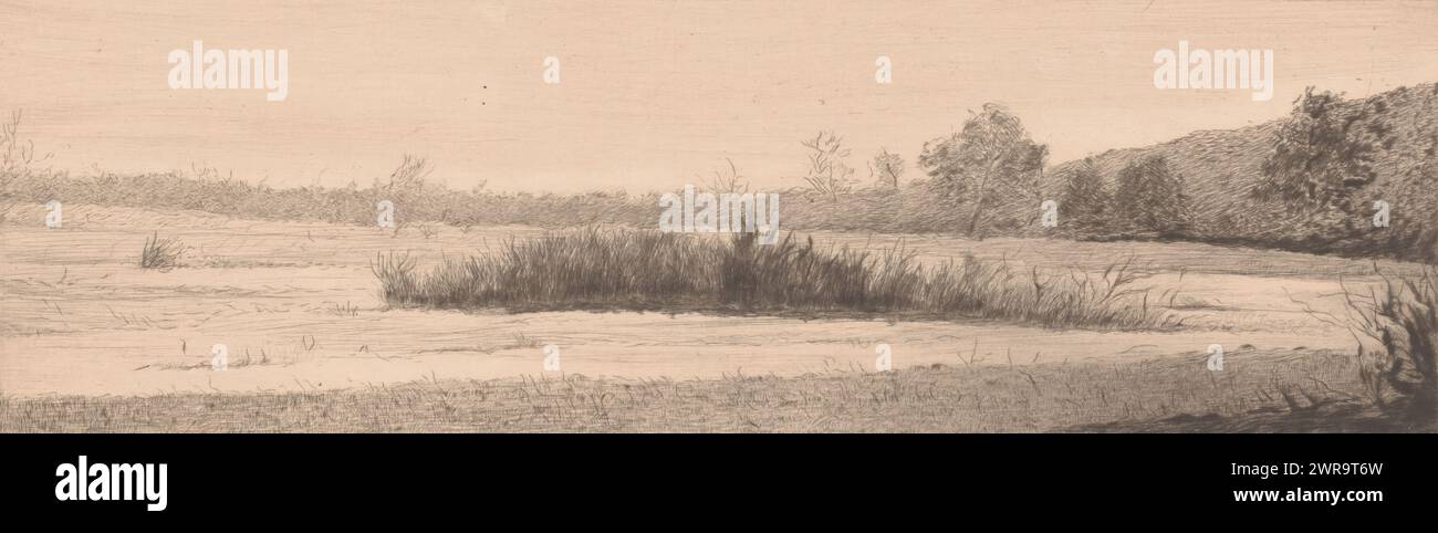 Paesaggio con colletto di canne in un lago, tipografo: Auguste Danse, (firmato dall'artista), 1895, carta, incisione, punto a secco, altezza 126 mm x larghezza 368 mm, stampa Foto Stock