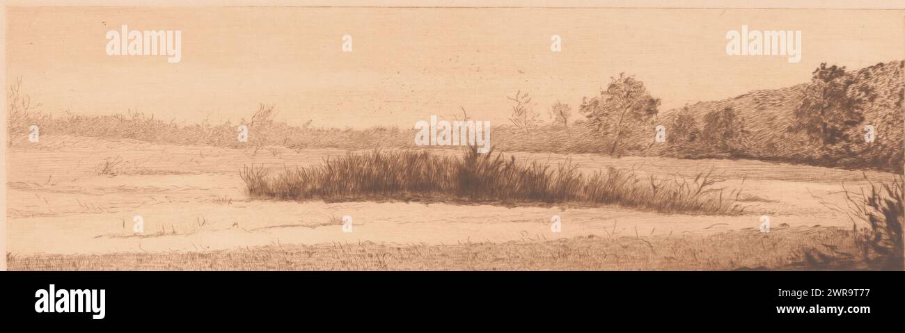 Paesaggio con colletto di canne in un lago, tipografo: Auguste Danse, (firmato dall'artista), 1895, carta, incisione, punto a secco, altezza 126 mm x larghezza 368 mm, stampa Foto Stock