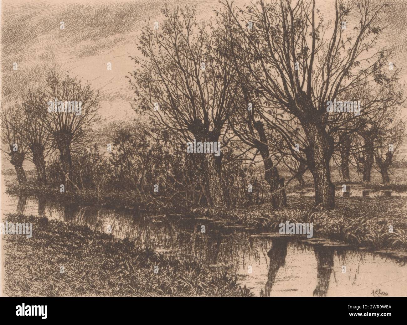 Alberi di salice lungo la riva di un torrente, stampatore: Alfred Elsen, 1860 - 1910, carta, incisione, altezza 179 mm x larghezza 239 mm, stampa Foto Stock