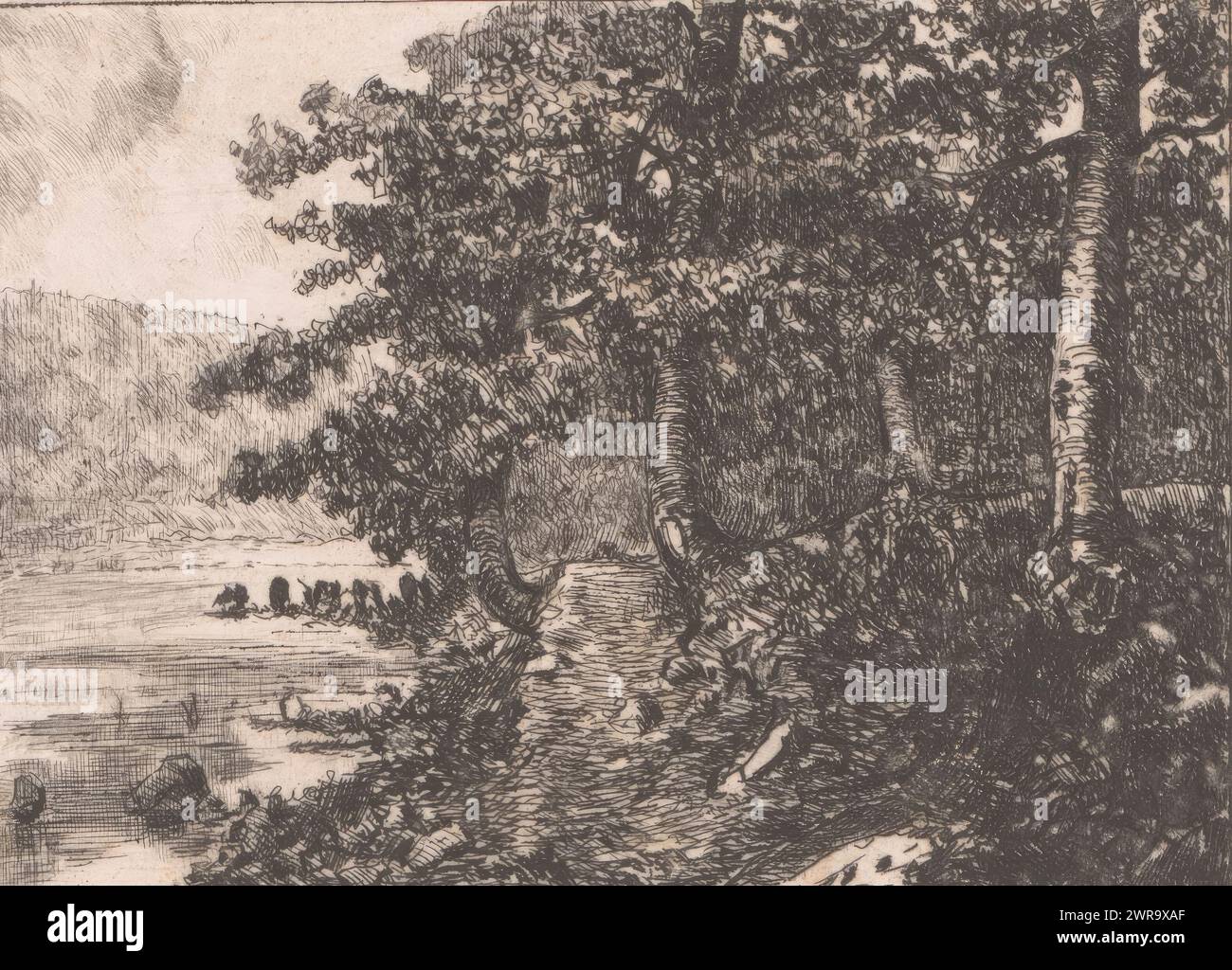 Paesaggio con foresta sul bordo di un lago, stampatore: Jules Guiette, (firmato dall'artista), 1862 - 1901, carta, incisione, altezza 80 mm x larghezza 108 mm, stampa Foto Stock