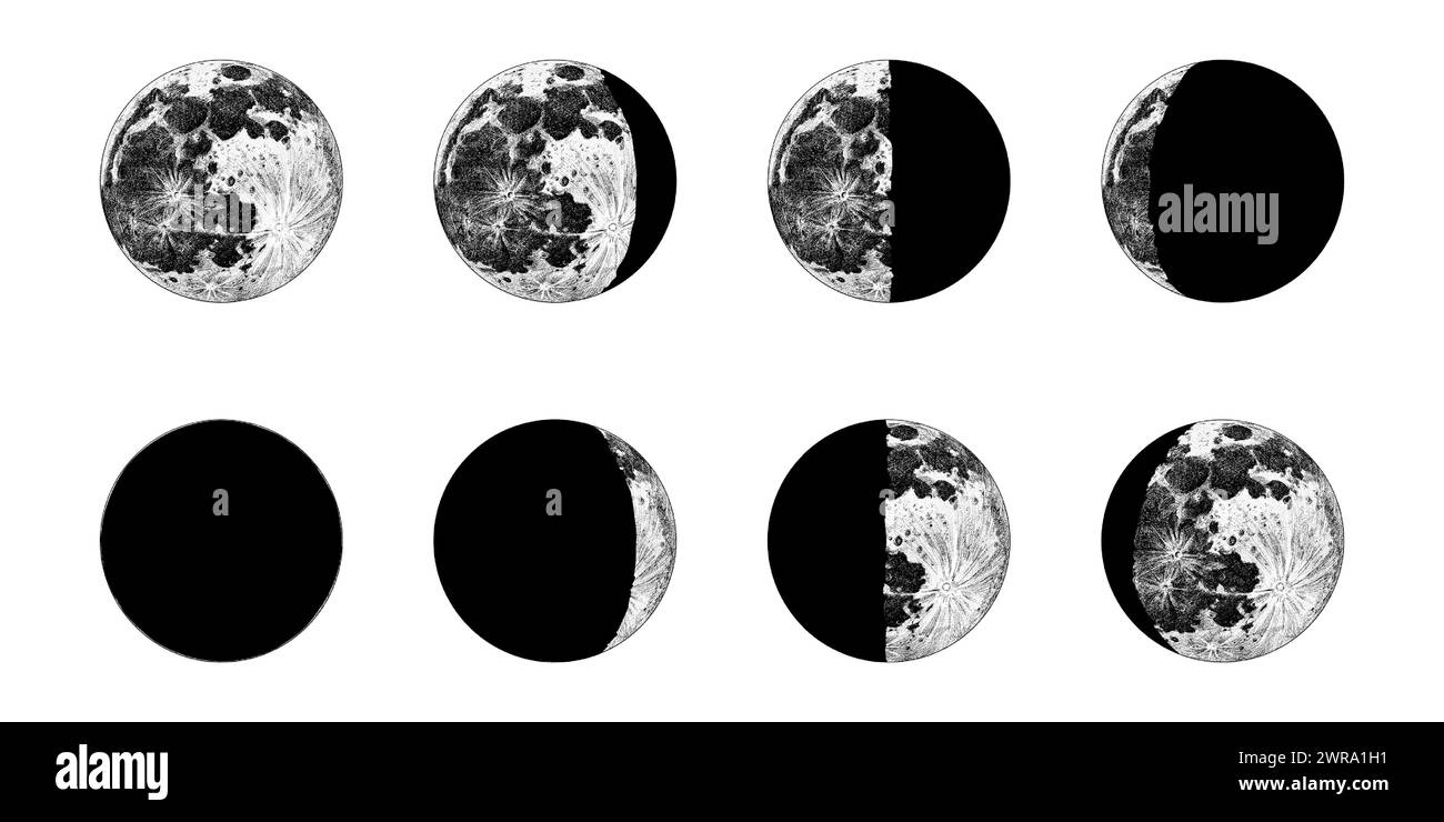 Le fasi della Luna nel sistema solare. Astrologia o spazio astronomico della galassia. Orbita o cerchio. incisione disegnata a mano in vecchio schizzo, stile vintage Illustrazione Vettoriale