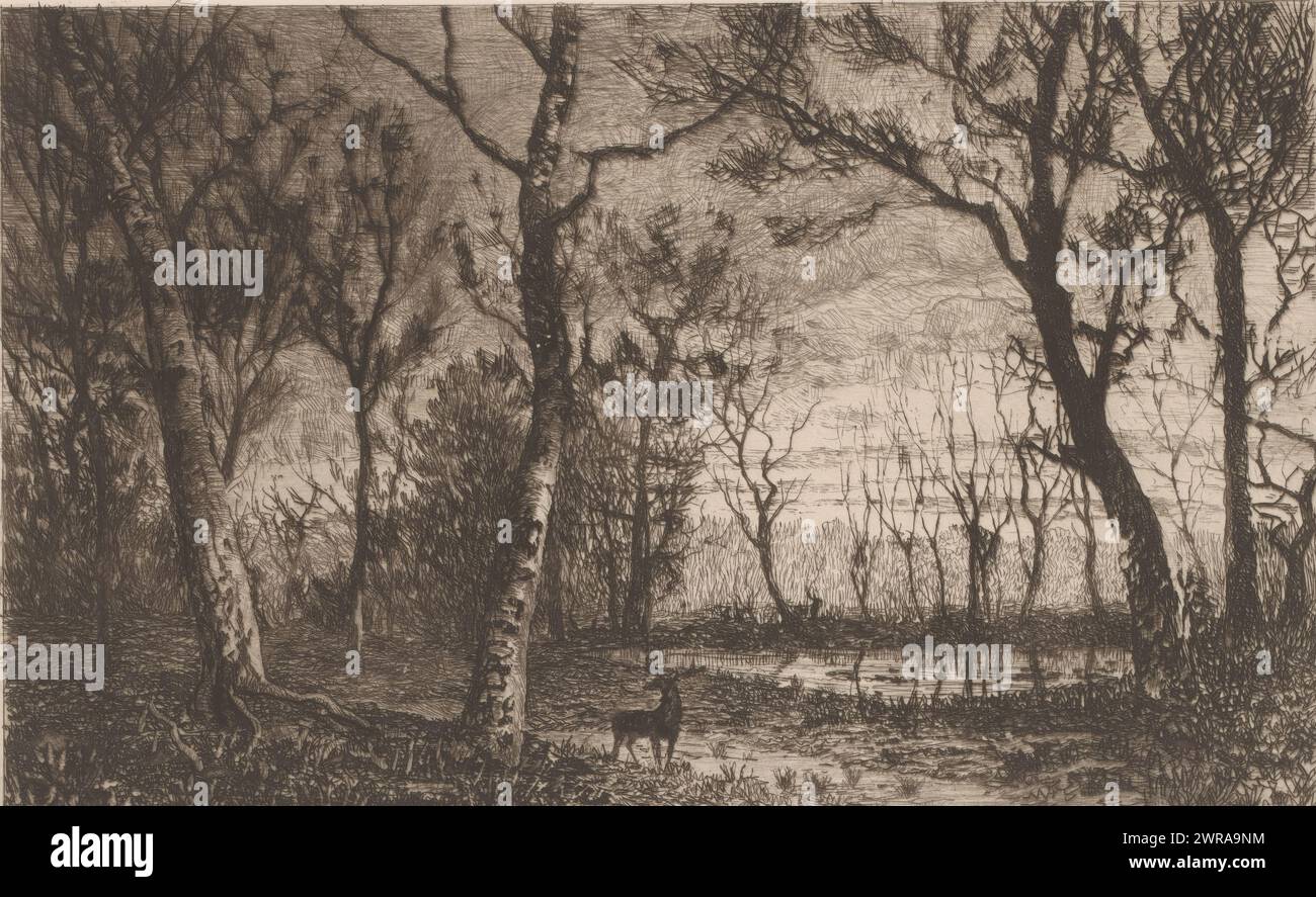 Paesaggio forestale con cervi, Soir d'Automne (titolo originale), stampatore: Jerôme Tuyttens, 8 gennaio 1883, carta, incisione, altezza 172 mm x larghezza 261 mm, stampa Foto Stock