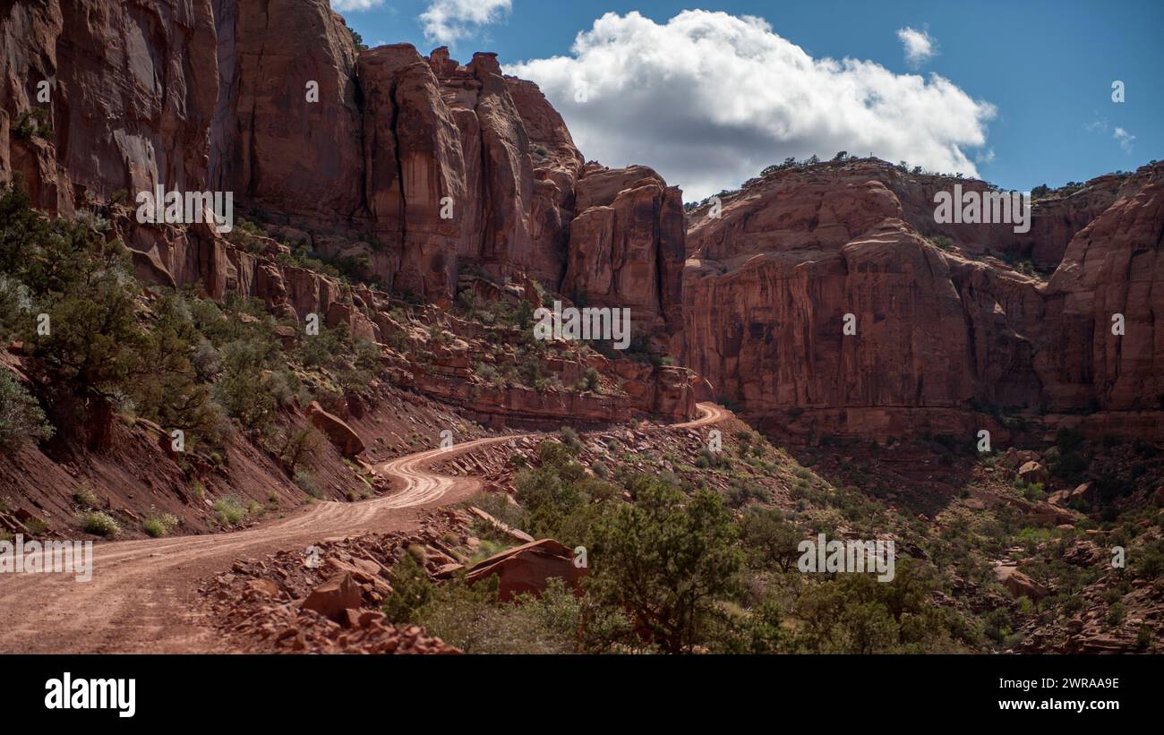 Long Canyon, vicino a Moab, Utah Foto Stock