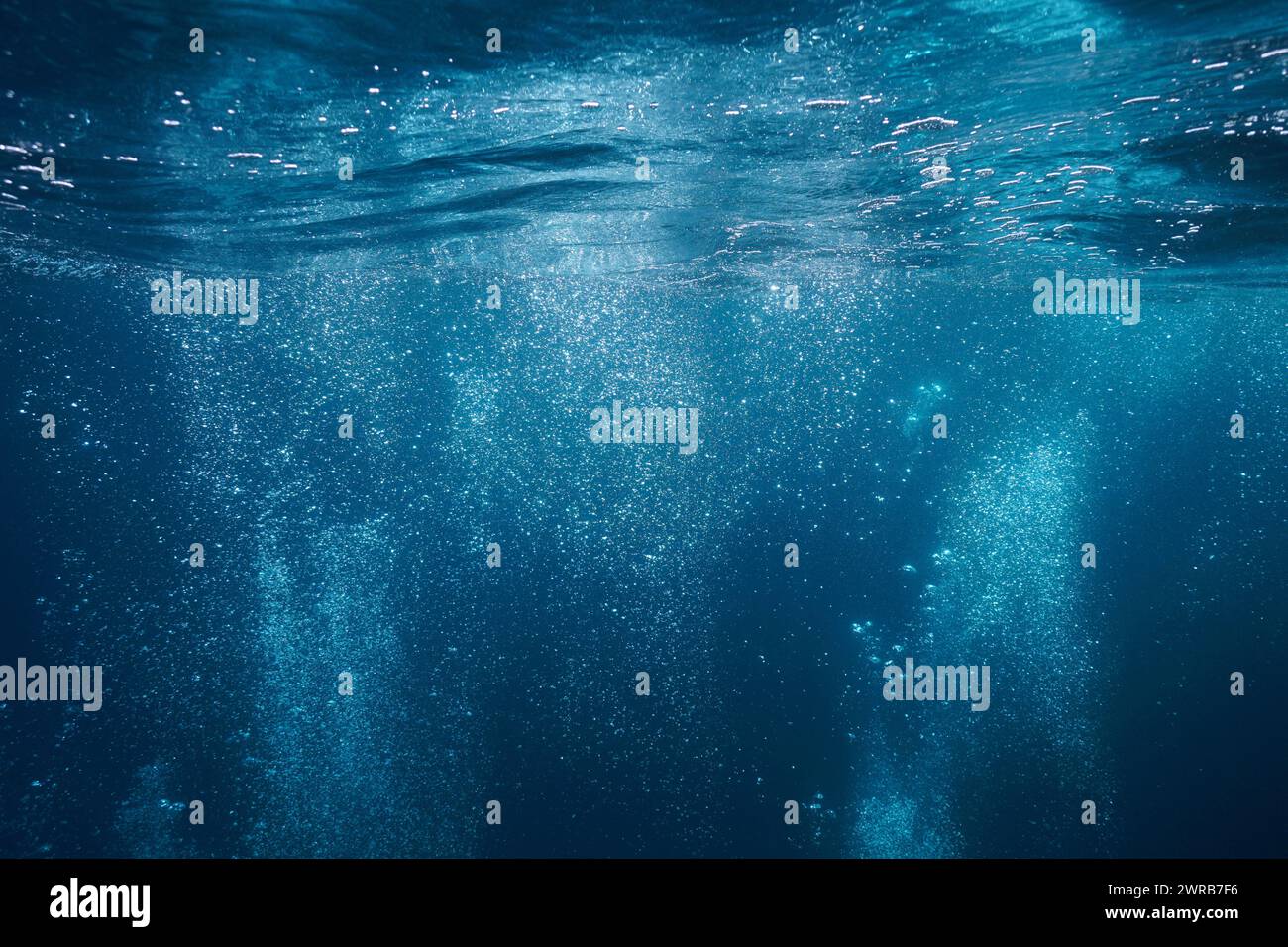 Le bolle d'aria si innalzano sulla superficie dell'acqua sott'acqua nel Mediterraneo, scenario naturale, Francia Foto Stock