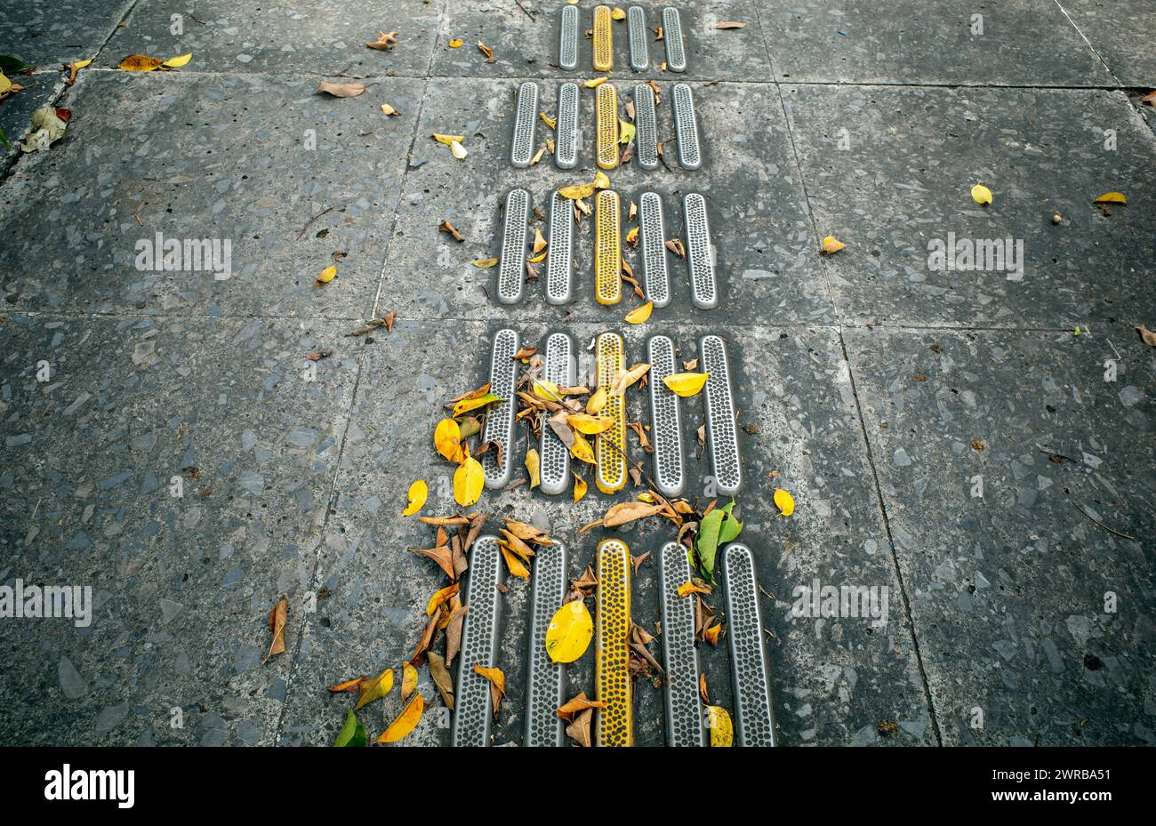 Pavimentazione tattile gialla per non vedenti o ipovedenti con foglie secche. Foto Stock