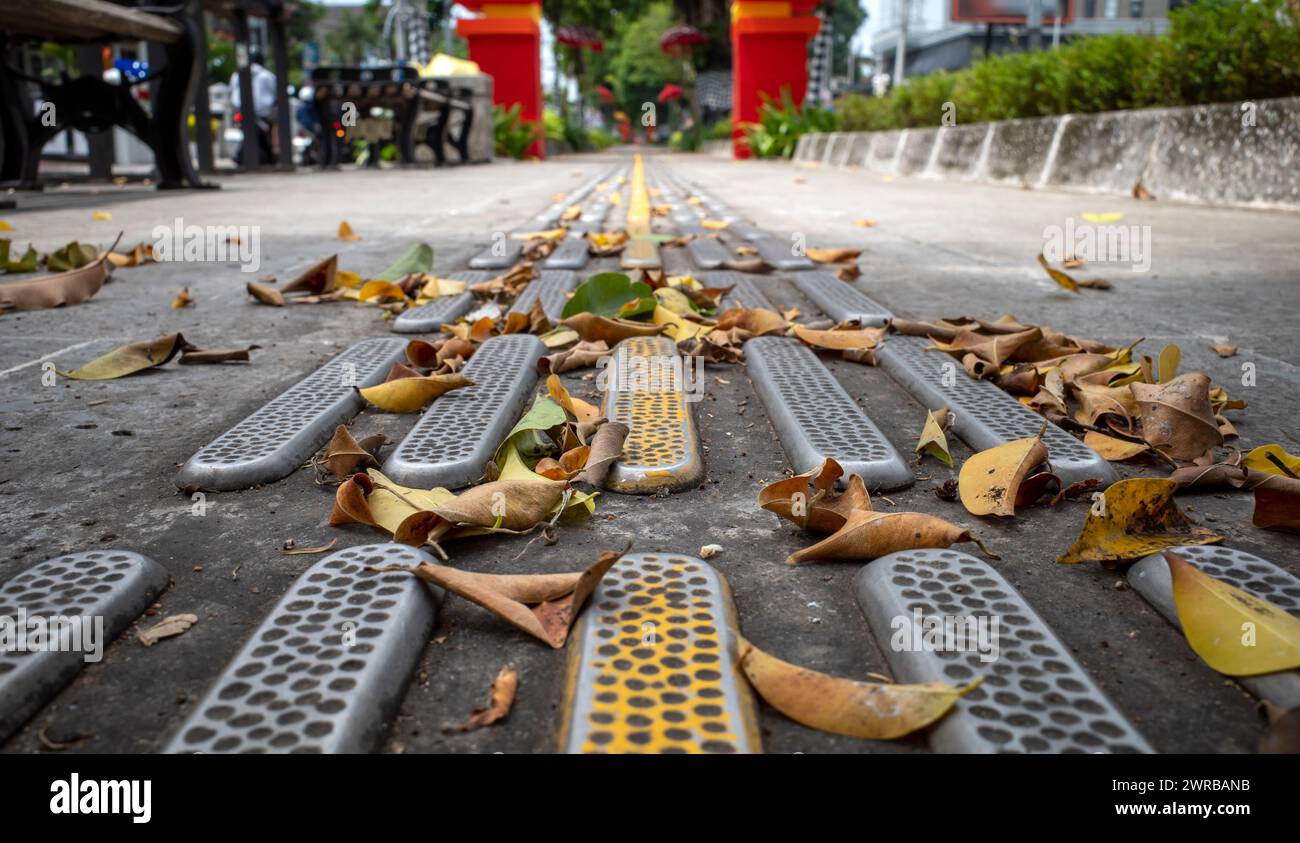 Pavimentazione tattile gialla per non vedenti o ipovedenti con foglie secche. Foto Stock