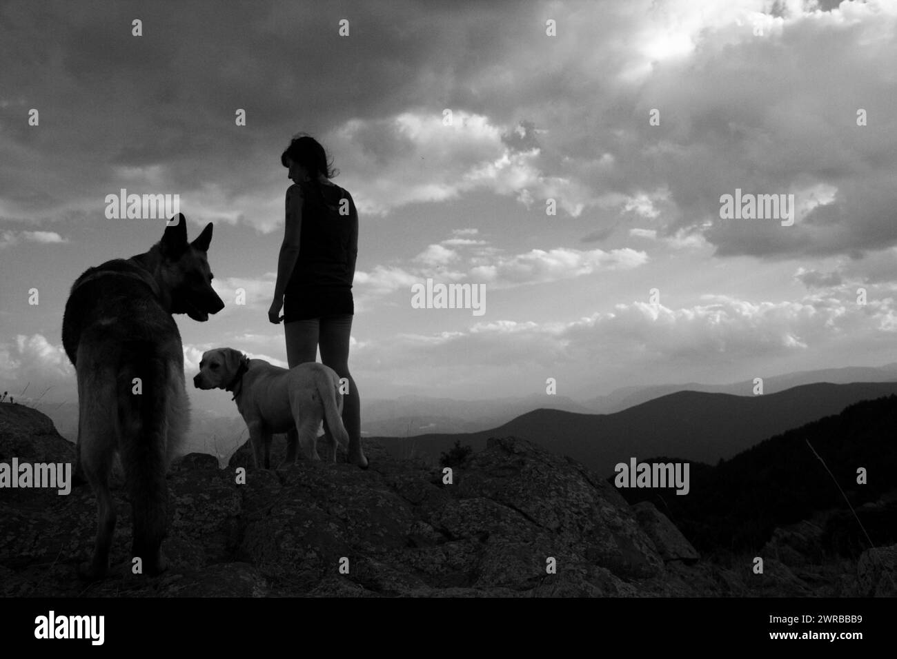 Persona sagomata e cani su una montagna sotto un cielo nuvoloso, Amazing Dogs in the Nature Foto Stock