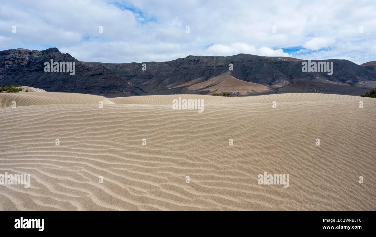 Paesaggio dune, dune, Playa de Famara, Lanzarote, Isole Canarie, Spagna Foto Stock