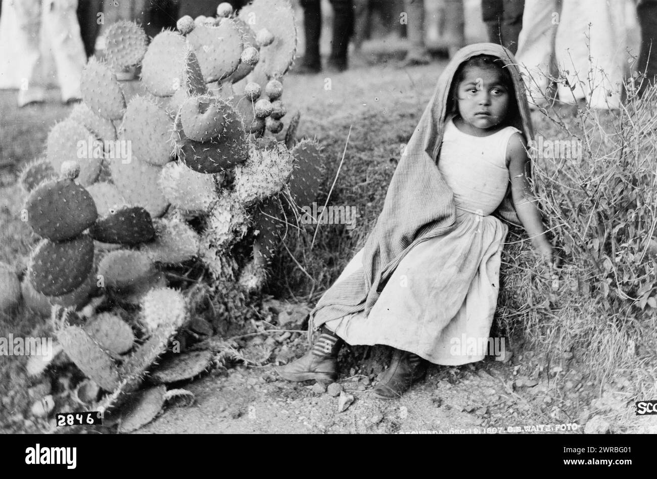 Nativo, Messico, C.B. Waite foto., giovane ragazza seduta a terra accanto alla pianta del cactus., Waite, C. B. (Charles Betts), 1861-1927, fotografo, 1907, bambini, Messico, 1900-1910, stampe fotografiche, 1900-1910., stampe fotografiche, 1900-1910, 1 stampa fotografica Foto Stock