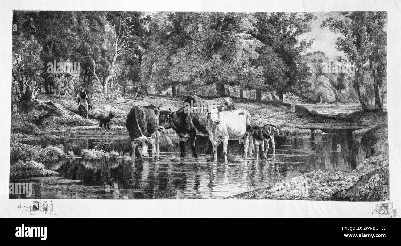 Piscina nel bosco, Print mostra una mandria di bovini con cani che osservano le mucche che stanno in piedi e bevono da una piscina d'acqua., Moran, Peter, 1841-1914, artista, c1889 19 novembre, mucche, 1880-1890, incisioni, 1880-1890. Remarques, 1880-1890, incisioni, 1880-1890, 1 stampa: incisione, 39,5 x 78,5 cm. (immagine Foto Stock