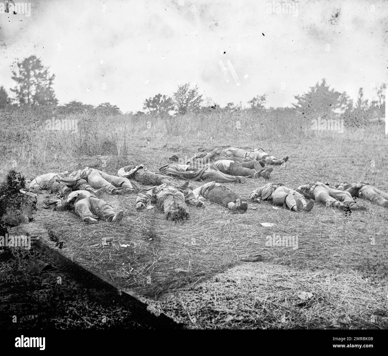 Gettysburg, Pennsylvania. Confederate Dead, veduta verso il frutteto della Rose Farm, 5 luglio 1863, o'Sullivan, Timothy H., 1840-1882, fotografo, 1863 5 luglio, Stati Uniti, storia, Civil War, 1861-1865, Glass negatives, 1860-1870., Stereographs, 1860-1870, negativi di vetro, 1860-1870, 1 negativo (2 piastre): vetro, stereografo, collodion umido Foto Stock