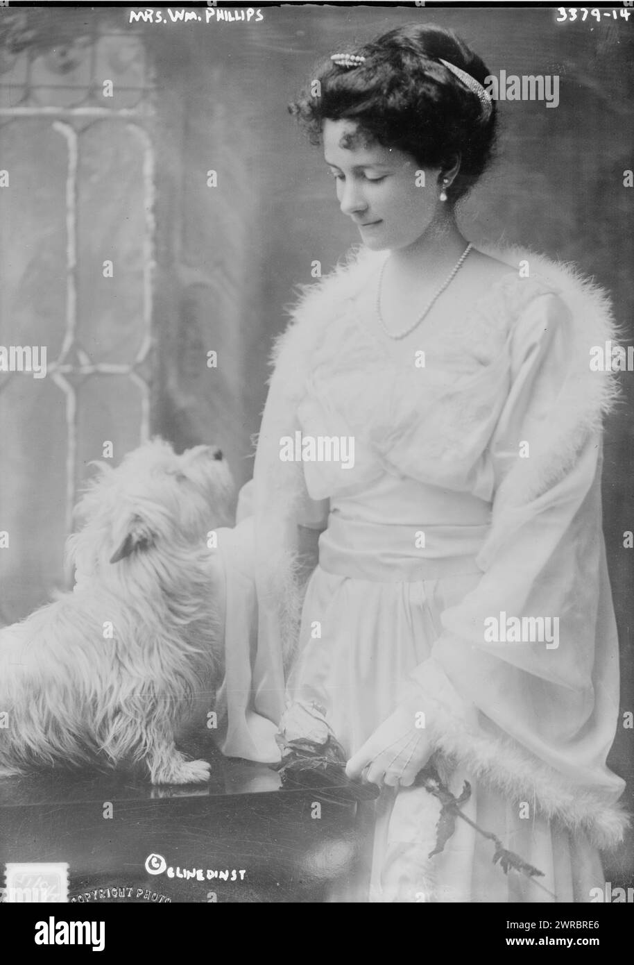 Signora WM. Phillips, la fotografia mostra la signora WM. Phillips con il suo cane da compagnia, tra ca. 1910 e ca. 1915, Glass negative, 1 negativo: Glass Foto Stock