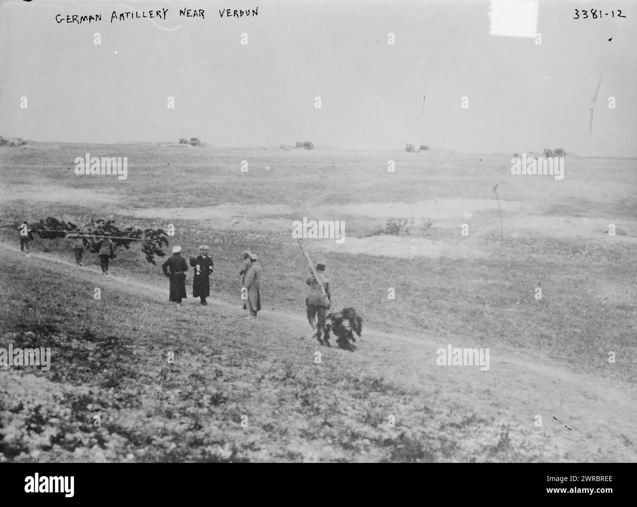 Artiglieria tedesca nei pressi di Verdun, la fotografia mostra i soldati tedeschi nei pressi di Verdun, in Francia, durante la prima guerra mondiale, tra il 1914 e ca. 1915, Guerra Mondiale, 1914-1918, Glass negative, 1 negativo: Vetro Foto Stock