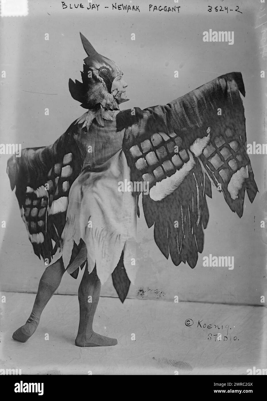 Blue Jay - Newark Pageant, la fotografia mostra una persona vestita da un uccello di jay blu che ha partecipato al concorso del 1916 che ha celebrato il 250° compleanno di Newark, New Jersey., tra ca. 1915 e ca. 1920, Glass negative, 1 negativo: Glass Foto Stock