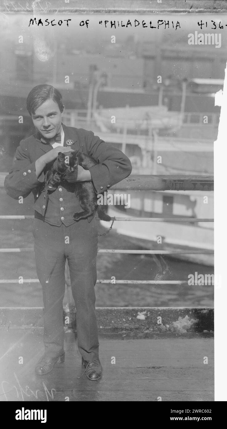 Mascotte di PHILADELPHIA, la fotografia mostra un ragazzo che tiene in mano un gatto, la mascotte della S.S. Philadelphia della American Line, che arrivò a New York da Liverpool il 22 febbraio 1917., 1917, Glass negative, 1 negative: Glass Foto Stock