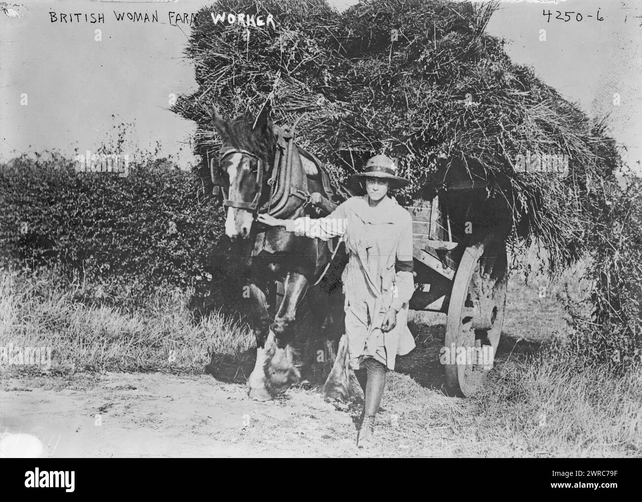 Lavoratrice agricola britannica, tra ca. 1915 e ca. 1920, Glass negative, 1 negativo: Glass Foto Stock