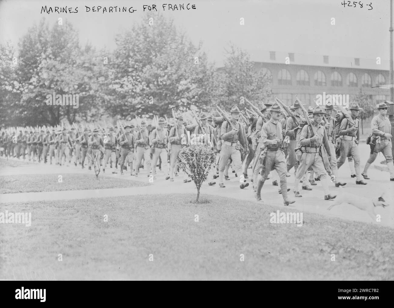 Marine in partenza per la Francia, la fotografia mostra i marines statunitensi in partenza per la Francia durante la prima guerra mondiale, 1917, guerra mondiale, 1914-1918, Glass negatives, 1 negativo: vetro Foto Stock