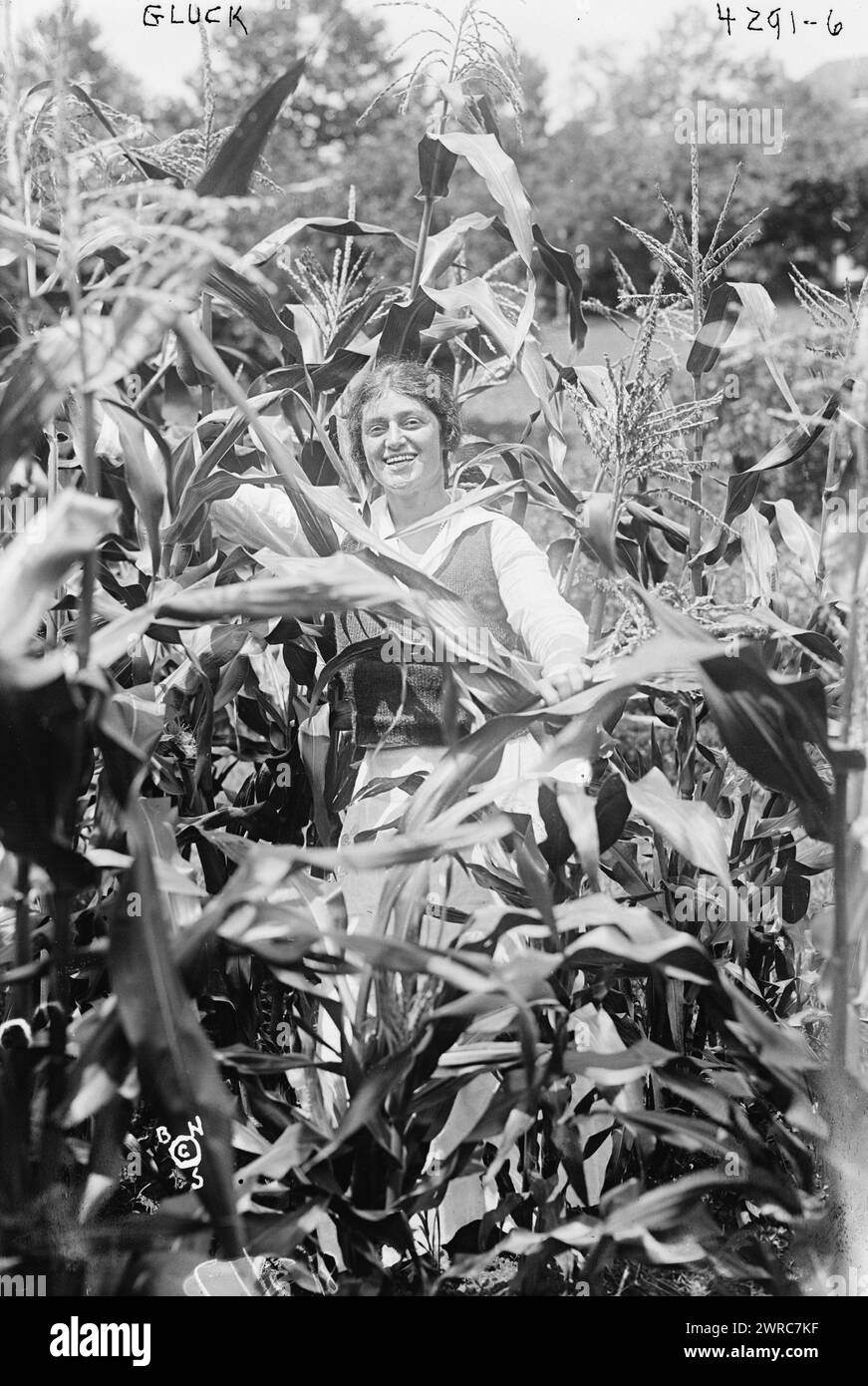 Gluck, la fotografia mostra la cantante d'opera soprano americana di origine rumena Alma Gluck (1884-1939)., tra ca. 1915 e ca. 1920, Glass negative, 1 negativo: Glass Foto Stock