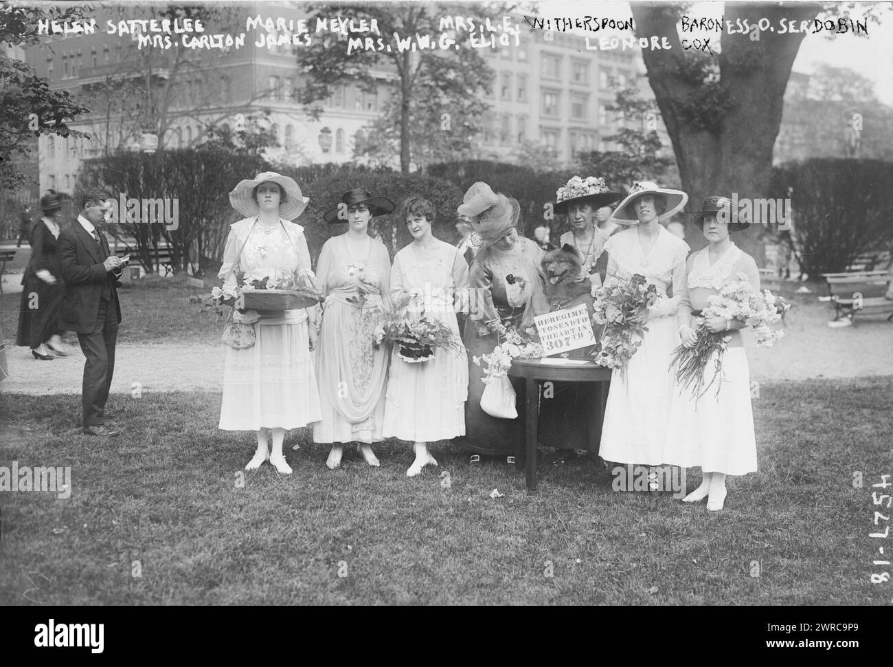 Helen Satterlee, Marie Meyler, Mrs. L.E. Witherspoon, Baronessa O. Serdobin, Mrs. Carlton James, Mrs. W.W.G. Eliot, & Leonore Cox, la fotografia mostra donne che tengono mazzi di fiori ad una festa in giardino a beneficio dei soldati del 307th Regiment e delle loro famiglie a Gramercy Park, New York. All'estrema destra si trova la baronessa Olga Sonia Serdobin. Presente anche Mrs. W.W.G. (Walter Greene) Eliot, l'ex Maud Stoutenburgh (1862-1944)., 1918 May, Glass negatives, 1 negative: Glass Foto Stock