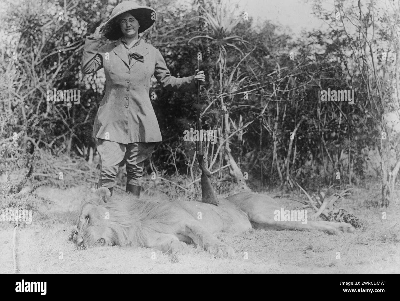 Lady MacKenzie, la fotografia mostra la cacciatrice di caccia Lady Grace MacKenzie con un leone morto in Africa. 1915 e ca. 1920, Glass negative, 1 negativo: Glass Foto Stock