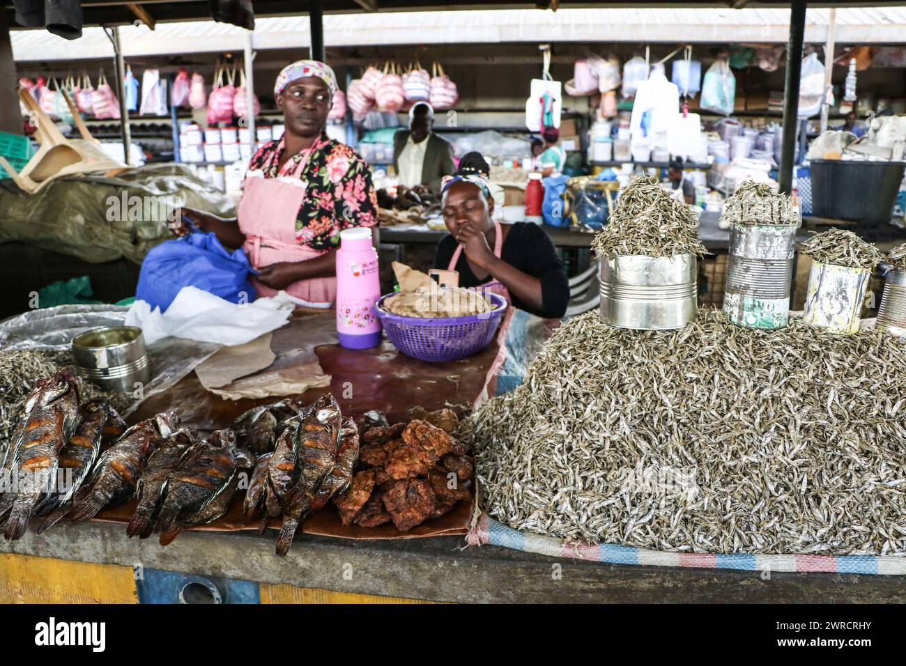 Nakuru, Kenya. 11 marzo 2024. I commercianti si siedono al loro banco del pesce nel mercato cittadino di Nakuru. Secondo i dati della Banca centrale del Kenya (CBK), il tasso di inflazione del Kenya è sceso al 6,3% a febbraio, in calo dal 6,9% di gennaio. Si tratta di un valore minimo di 23 mesi, attribuito a una diminuzione del costo degli alimenti essenziali e del carburante. (Foto di James Wakibia/SOPA Images/Sipa USA) credito: SIPA USA/Alamy Live News Foto Stock