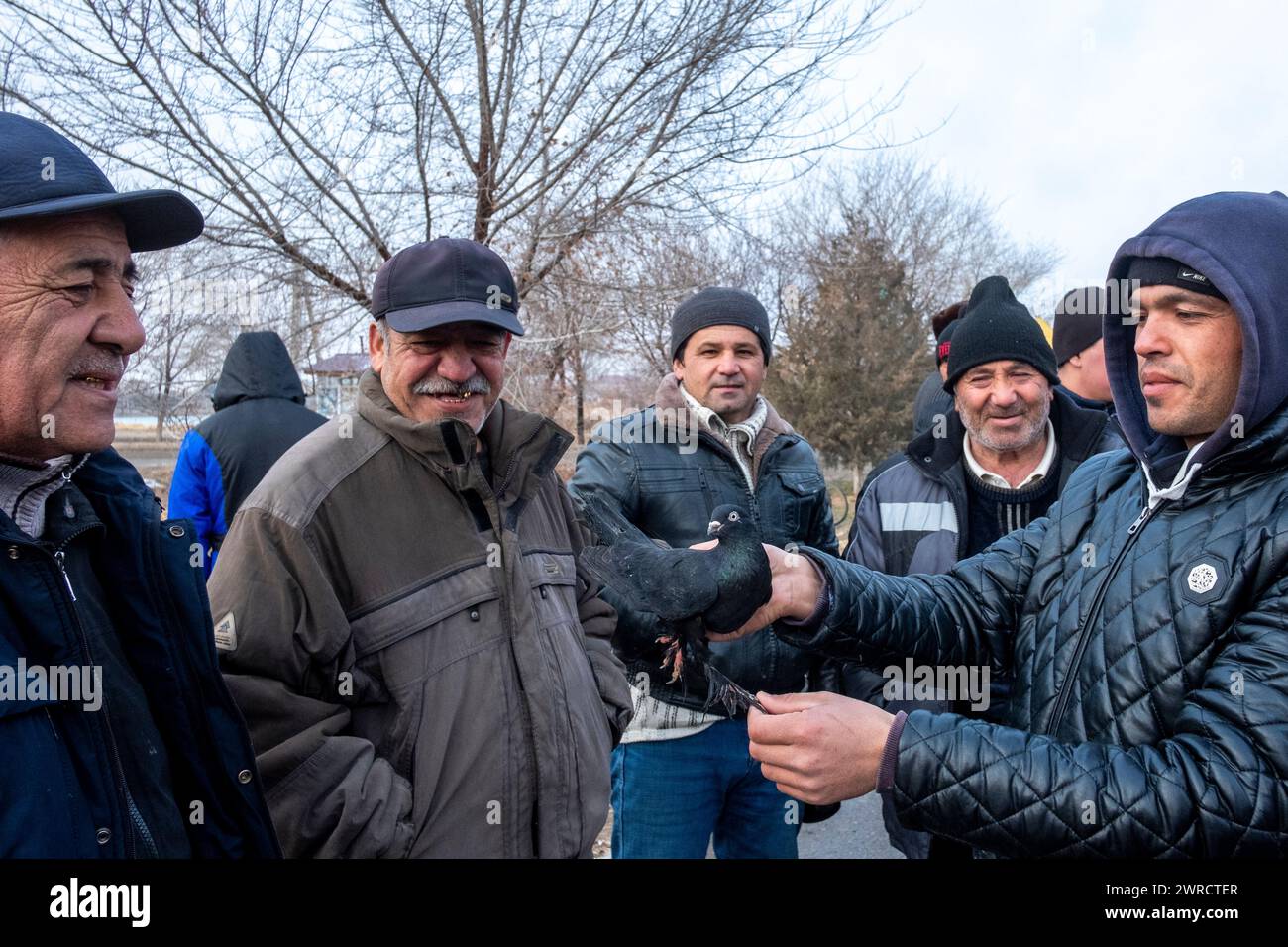 Un gruppo di uomini espone i propri piccioni nel centro della città. Bukhara, Uzbekistan. Foto Stock