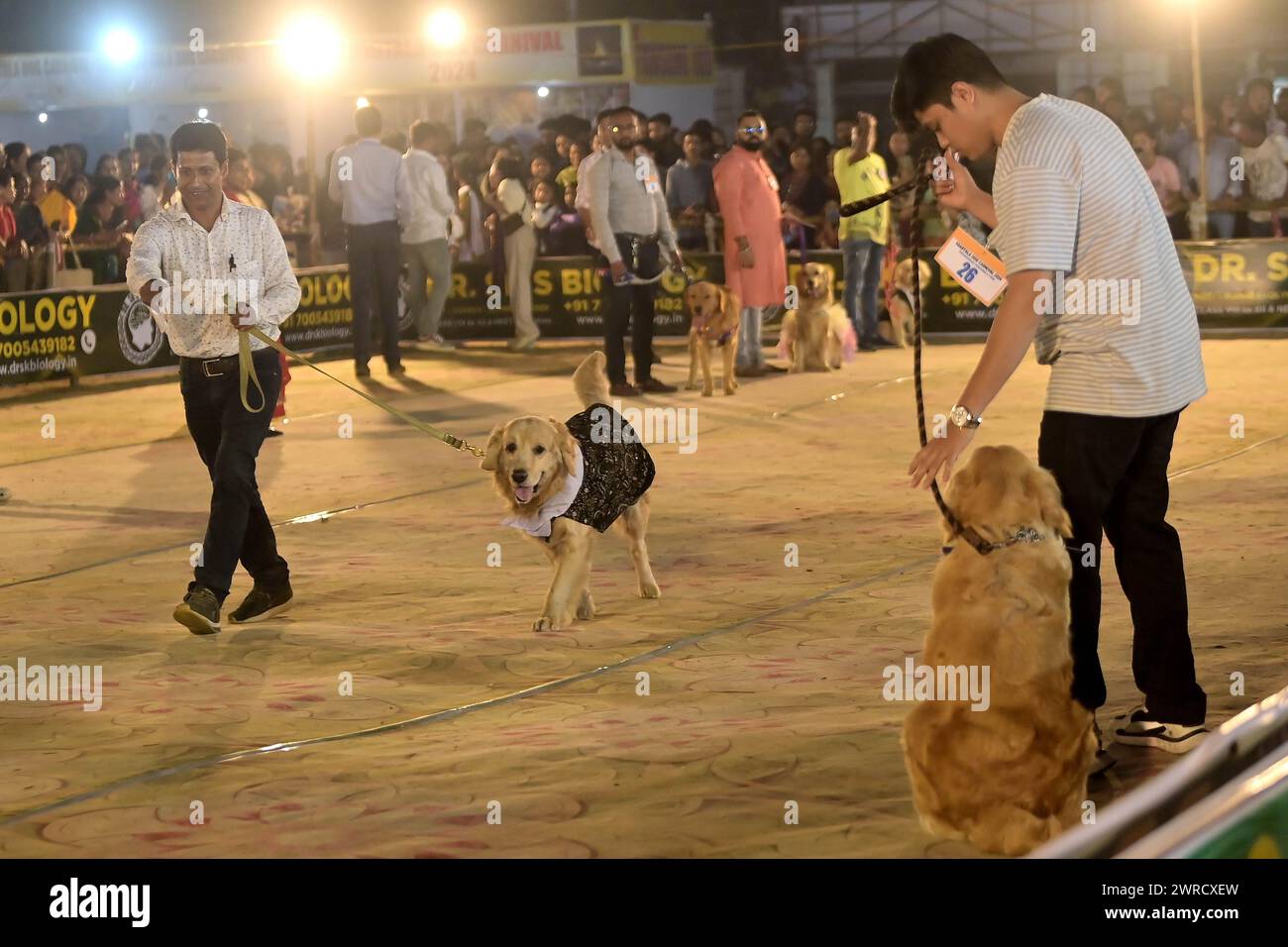Cani che eseguono allenatori durante l'Agartala Dog Carnival-2024, organizzato dalla Tripura Veterinary Doctors Association & Pawsome (Un'organizzazione sociale) ad Agartala. Tripura, India. Foto Stock