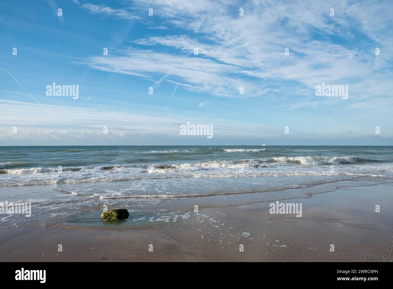 Questa invitante immagine mostra un'ampia vista di una spiaggia sabbiosa sotto un vasto cielo blu striato da nuvole di mogli. Onde delicate si riversano a riva, creando motivi morbidi e schiumosi sulla sabbia. Un pezzo di alghe solitarie giace sulla spiaggia, che lascia intendere la ricca vita marina dell'oceano e i detriti naturali che le maree portano. L'orizzonte è limpido e il mare calmo si fonde con il cielo in un punto lontano, simboleggiando la tranquillità e vasti spazi aperti. Questa scena è una rappresentazione classica della bellezza serena che offre le coste. Serene Seashore Symphony. Foto di alta qualità Foto Stock