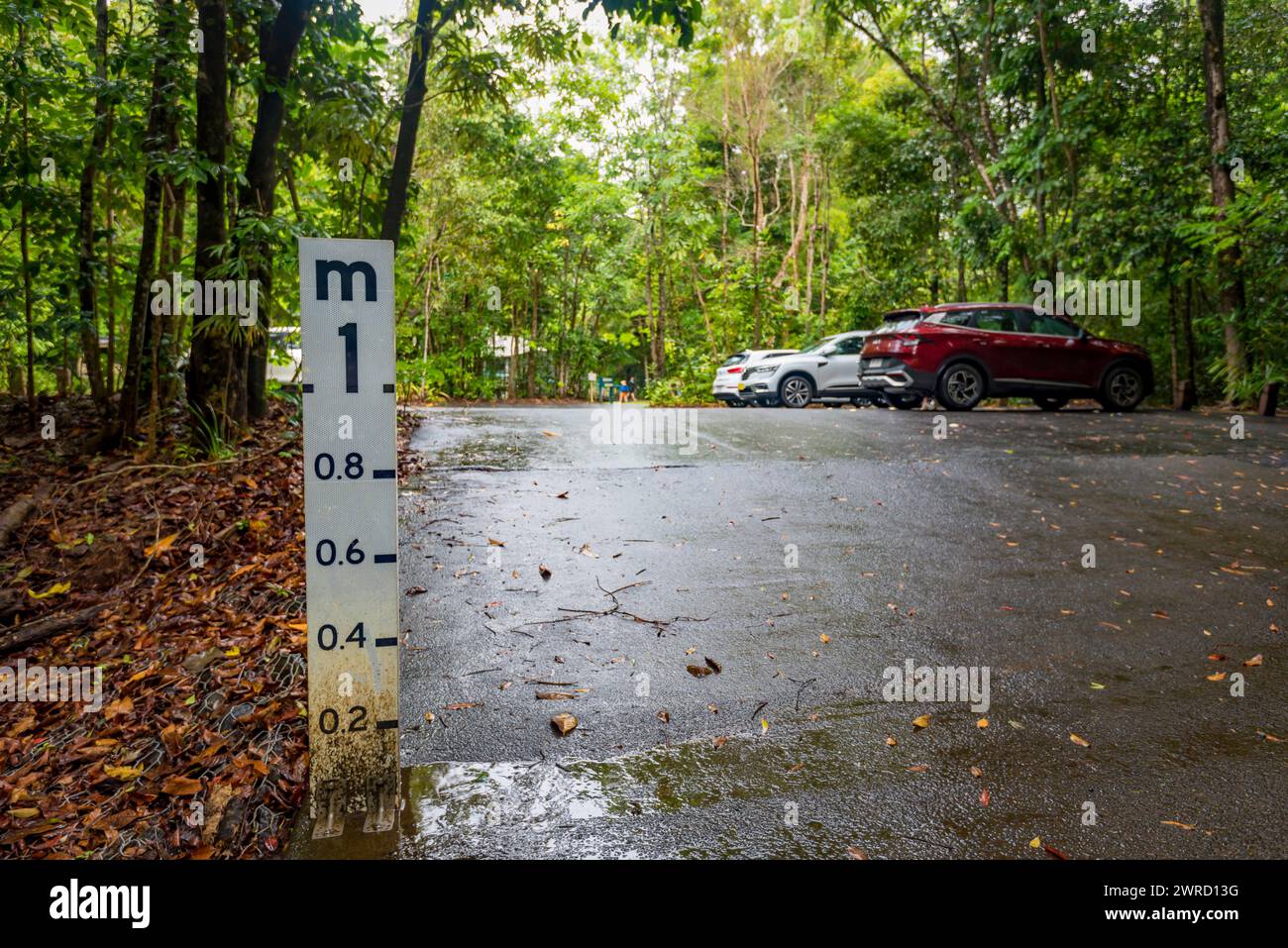 Un parcheggio rialzato con un cartello di livello alluvione vicino al suo ingresso a Cape Tribulation nell'ambiente tropicale del Daintree National Park nel North Queensland Foto Stock