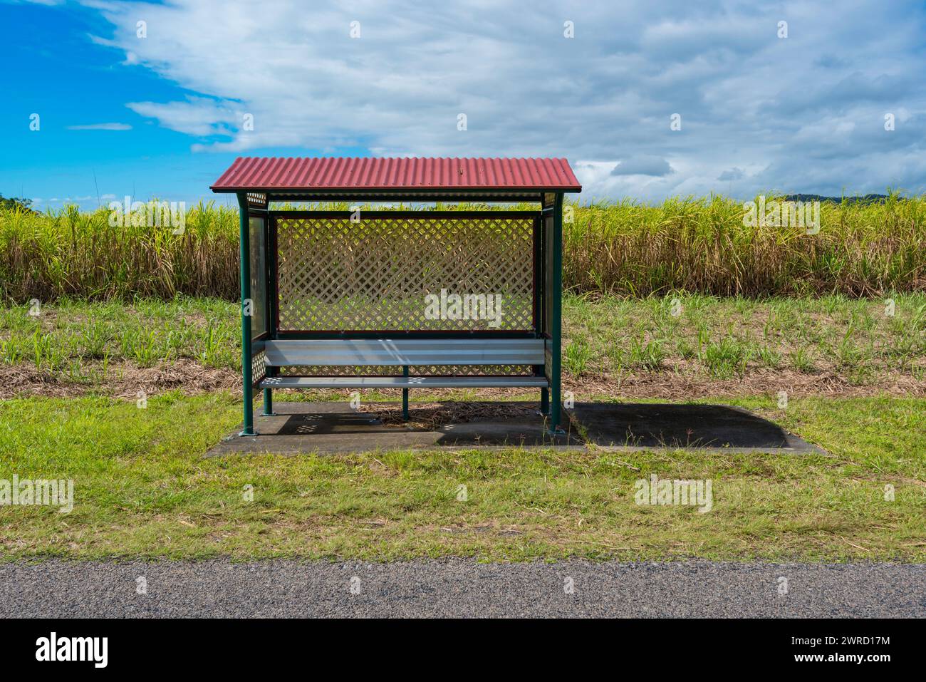 Una fermata solitaria dell'autobus si trova accanto ai campi di canna da zucchero vicino a Mossman nel nord tropicale del Queensland, Australia Foto Stock