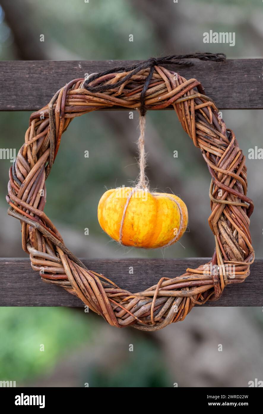 Un primo piano di una corona con la zucca appesa a una recinzione Foto Stock