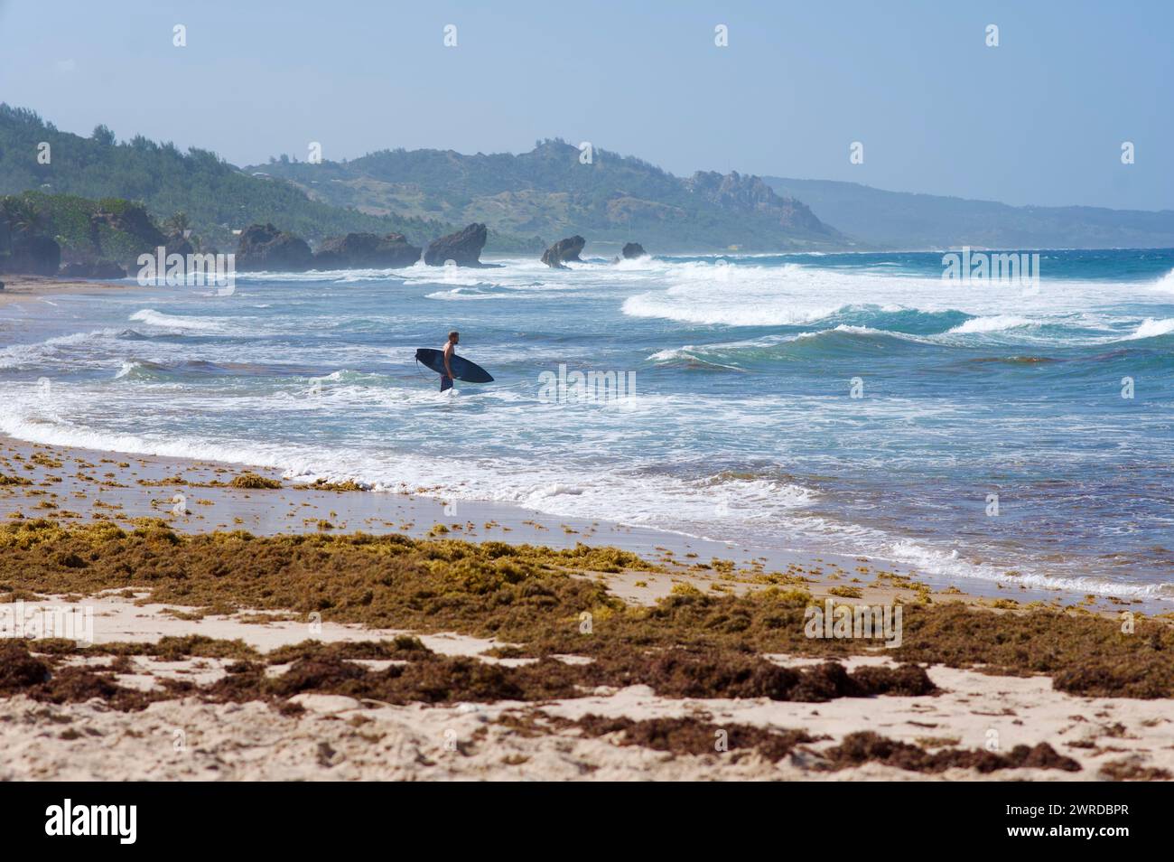 Un surfista che si gode le onde su una spiaggia delle Barbados. Foto Stock