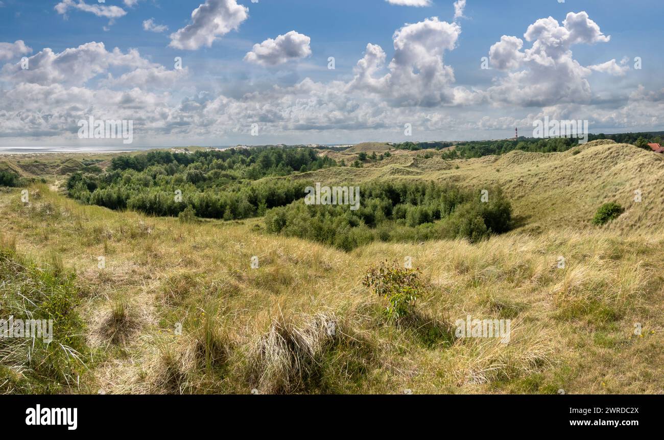 Panorama della zona delle dune di Wittdun sull'isola di Amrum, Frisia settentrionale, Schleswig-Holstein, Germania Foto Stock