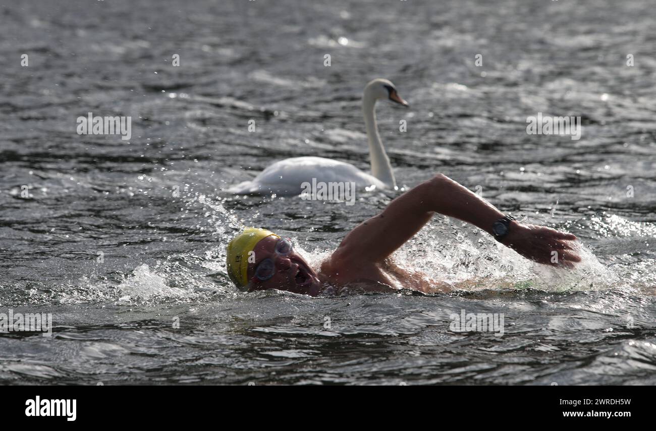 29/08/15 Kevin Walsh passa un cigno all'inizio della gara. Forti venti di coda stanno aiutando a battere il suo tempo obiettivo di cinque ore e mezza. Compl Foto Stock